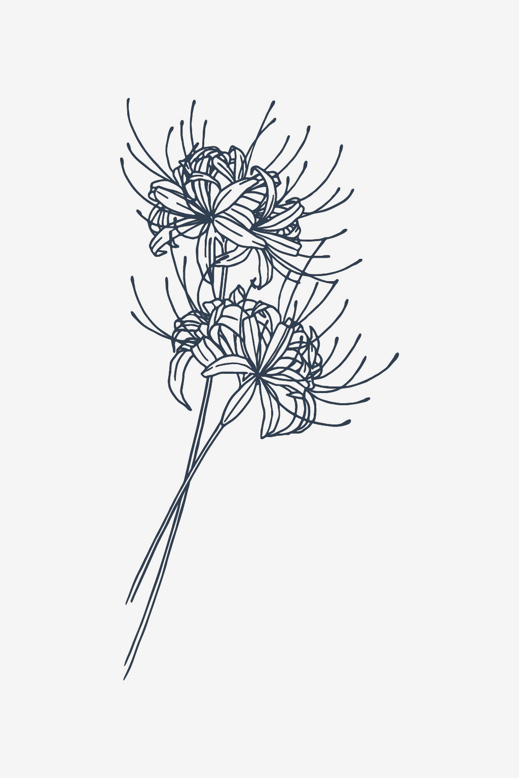 Mystinen Lily