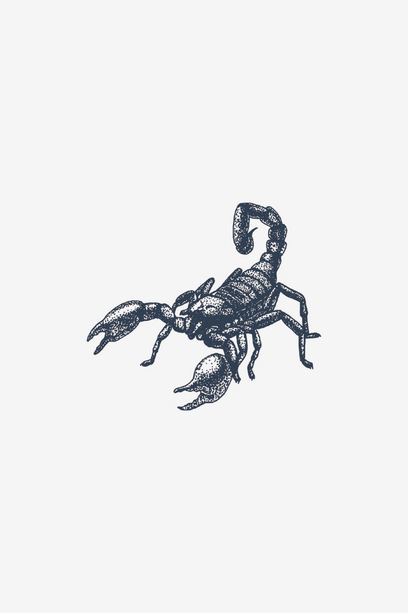Skorpioni