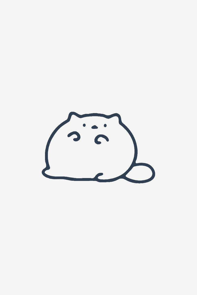 Pörröinen kissa