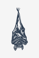 Yöllinen