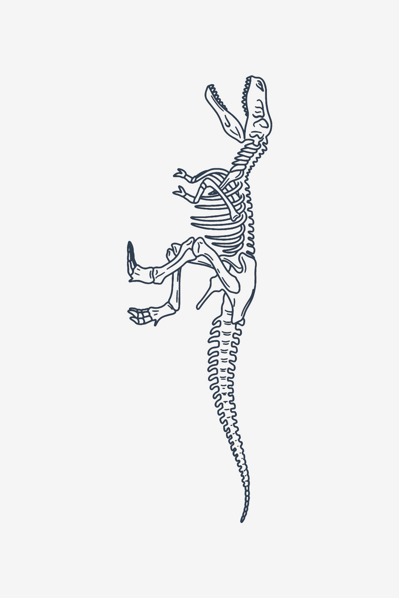T-Rexin luuranko