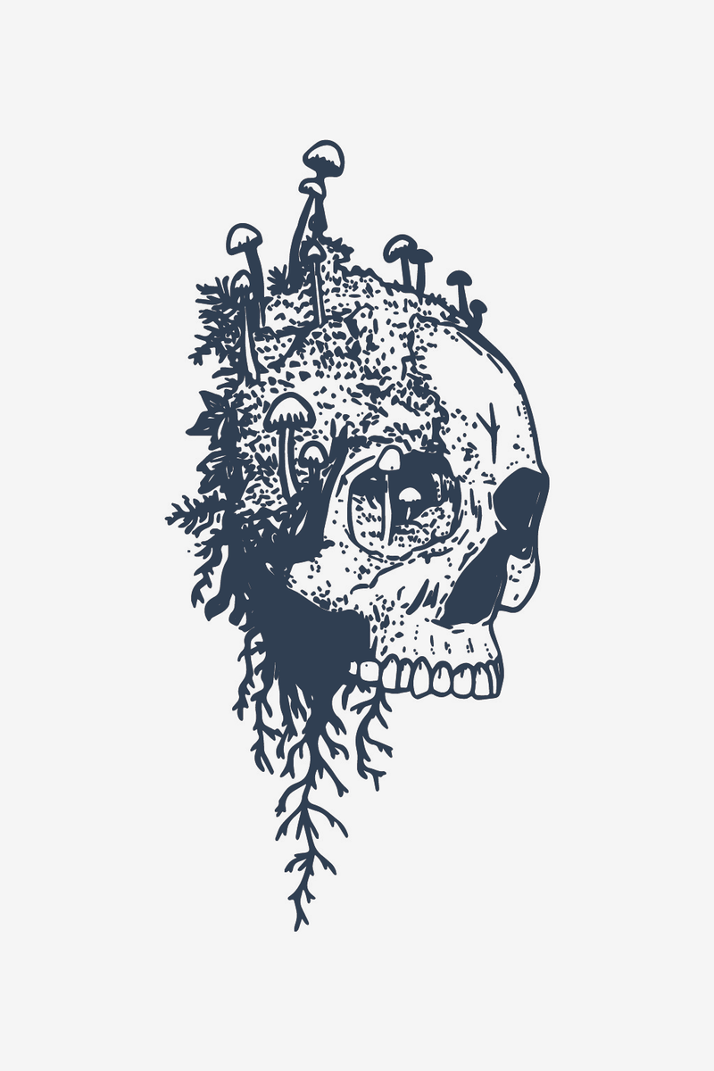 Kallo