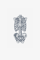 Anatomia