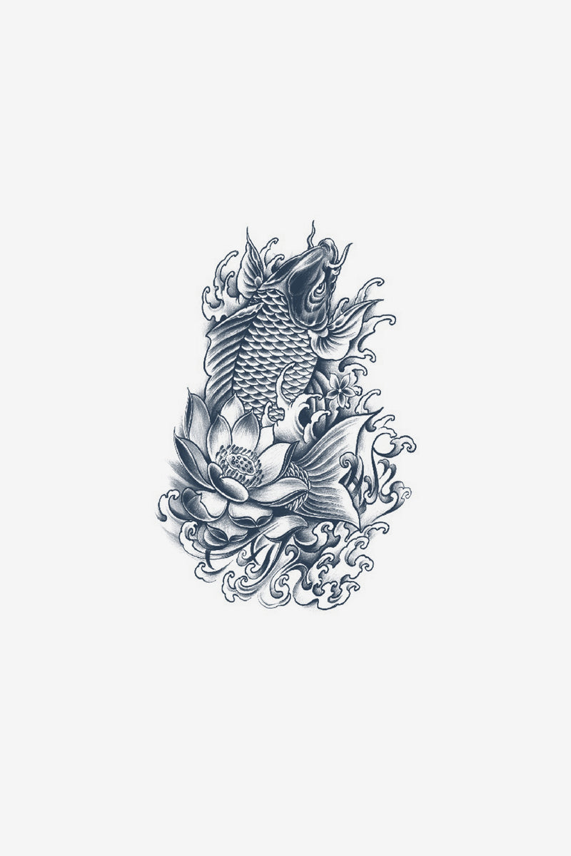 Koi